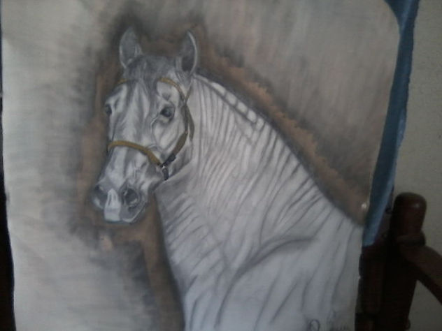 caballo ballo