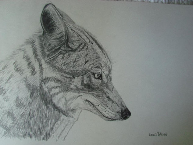 Coyote Pencil