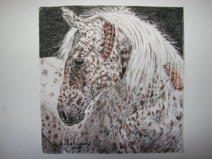 Caballo sioux