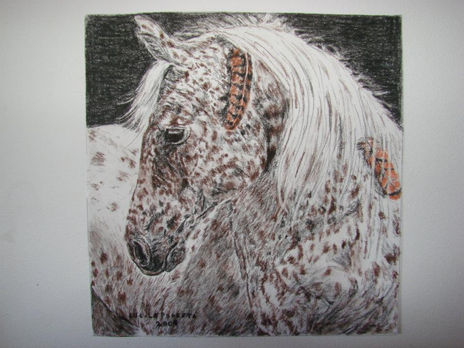 Caballo sioux