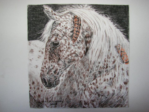 caballo sioux Charcoal