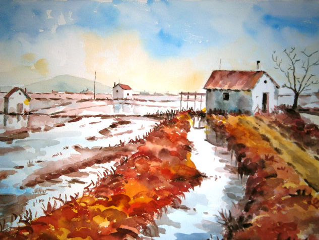 CAMPOS DE ARROZ Acuarela Papel Paisaje