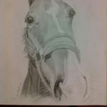 Caballos thumbnail 2