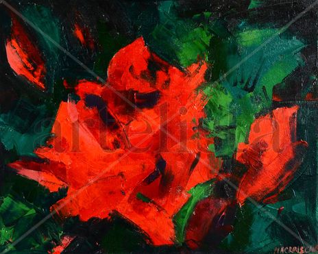 Rosas Rojas
