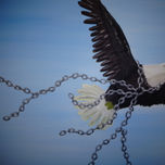 2012 thumbnail 2