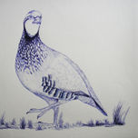 Animales thumbnail 1