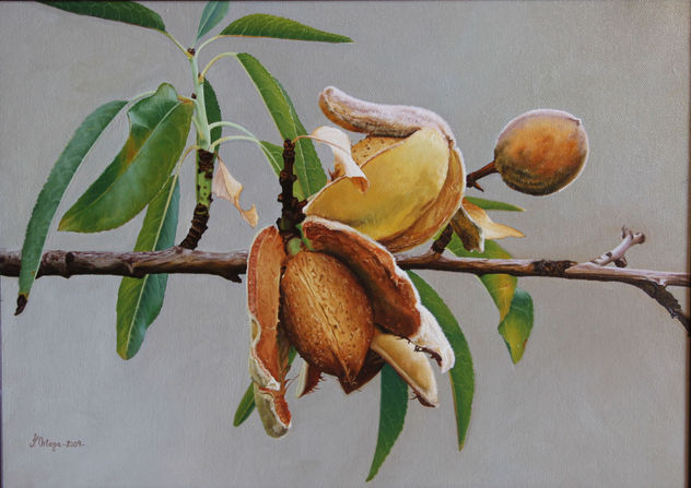 ALMENDRO