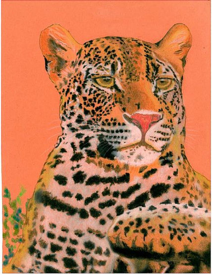 Jawar del Amazonas