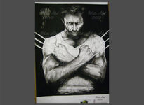 Retrato wolverine