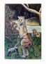 Animalaria I