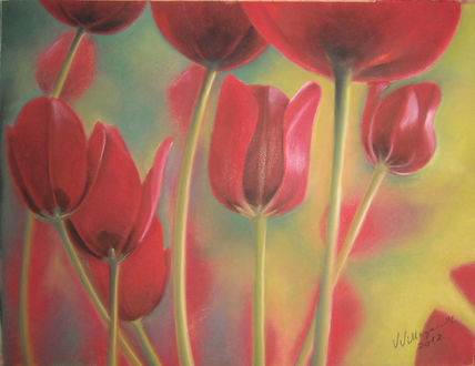 Tulipanes rojos