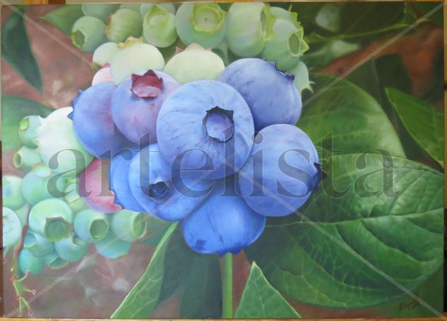 Arándanos Oil Canvas Floral Painting