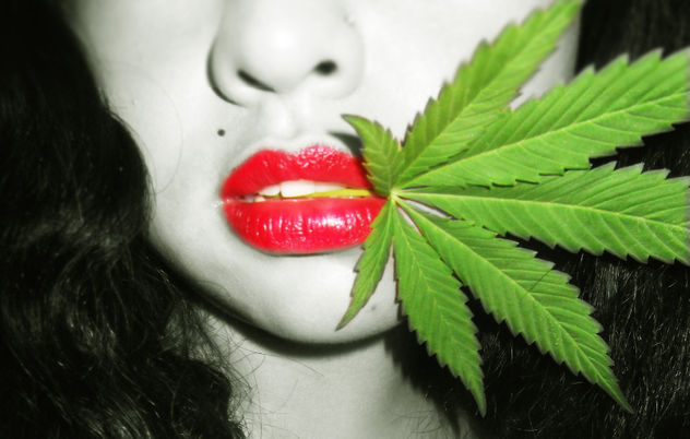 "MEJOR QUE EL AJENJO". -  green sunshine