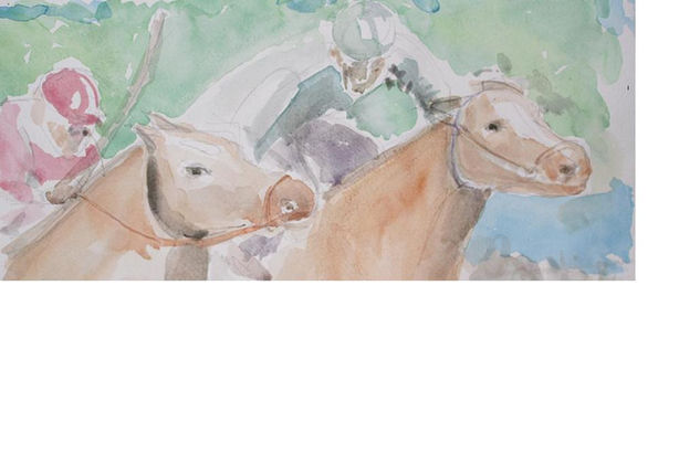 cuadrera1 Watercolour Paper Animals