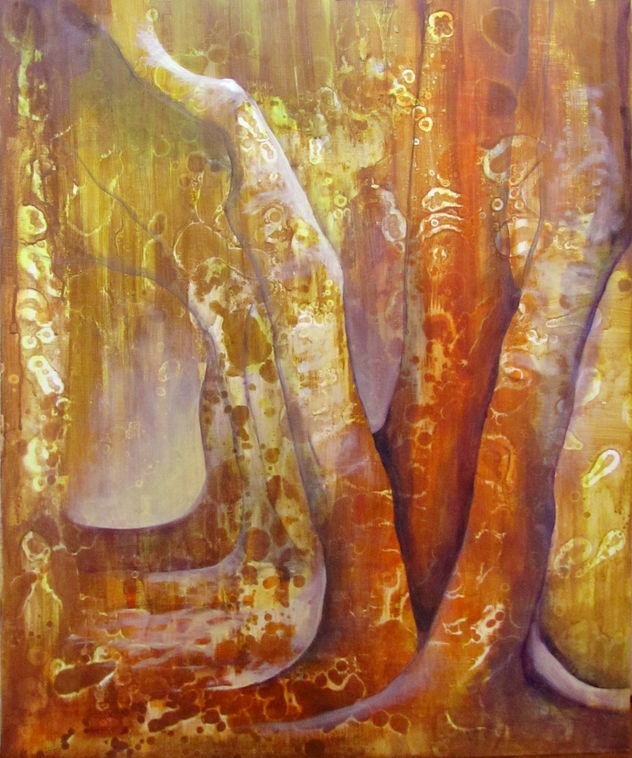 BOSQUE DE ARRAYANES