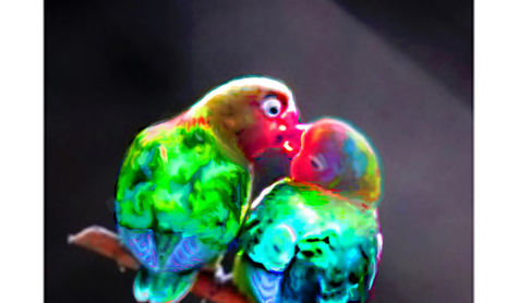 love