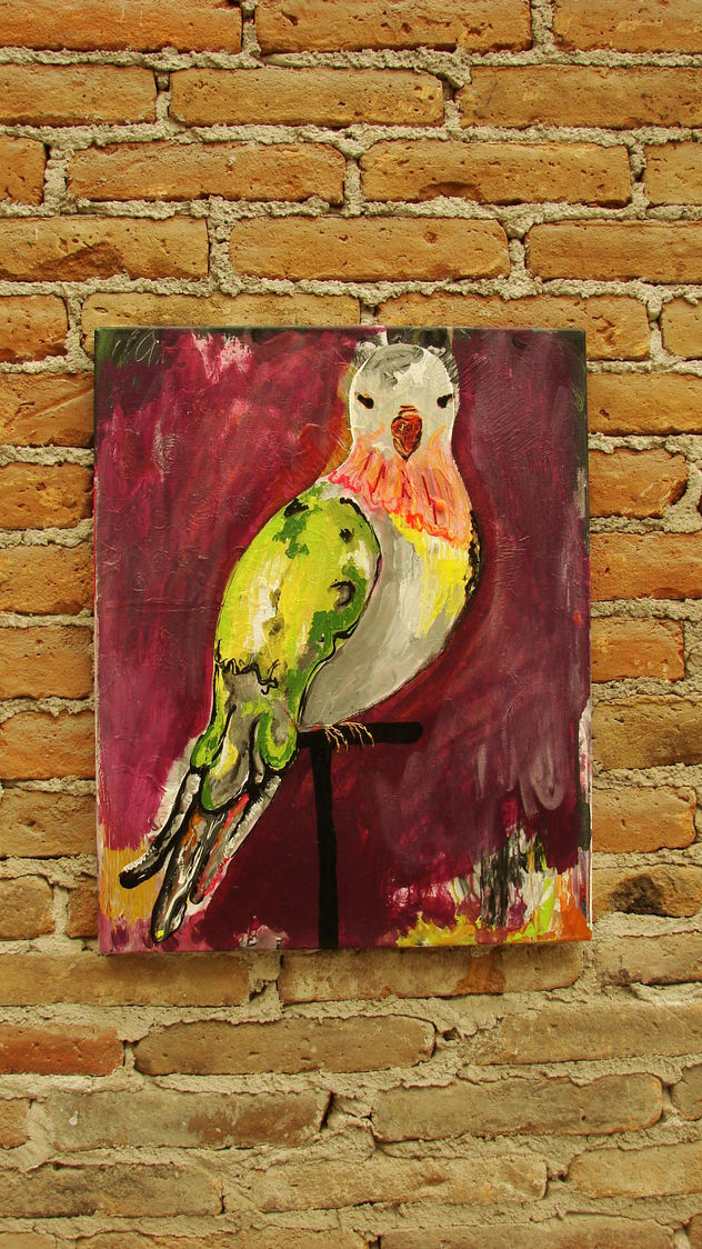paloma