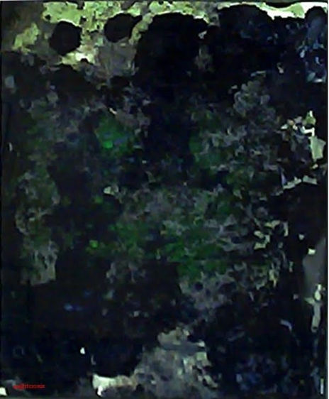Imprevisible