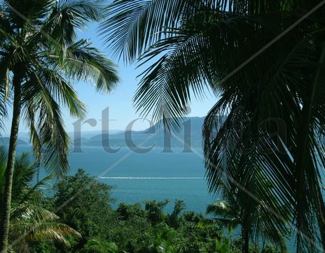 Paraíso tropical
