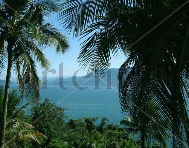Paraíso tropical
