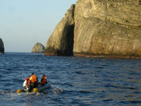 Malpelo Island.  (1)