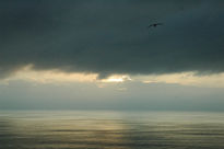 Atardecer en Malpelo