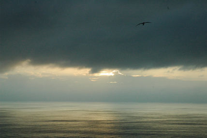 Atardecer en Malpelo