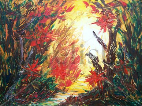 Luces del matorral