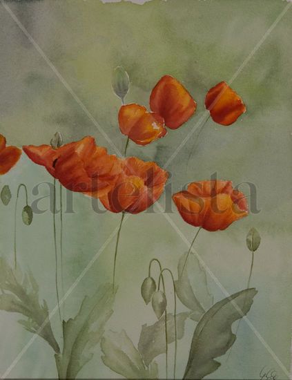 Mohn Acuarela Papel Floral