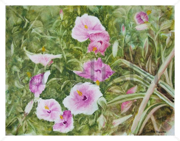 Hibiscus 2