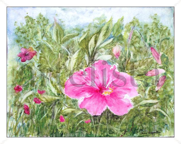 Hibiscus 3