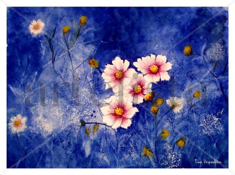 Cosmos