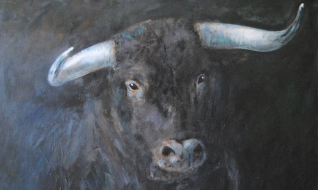 Toros
