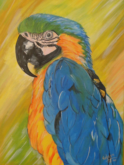 Guacamaya Acrílico Lienzo Animales