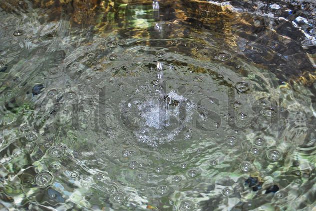 El agua, la vida Naturaleza Color (Digital)