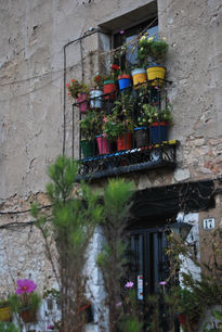 El patio de mi abuela