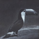 Animales thumbnail 1