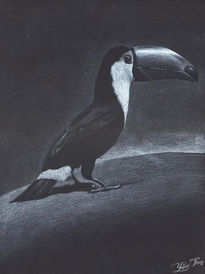 Tucan