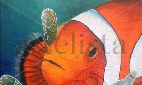 Serie Nemo