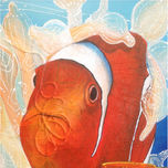 Serie Nemo thumbnail 1