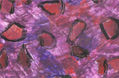 Cultivo aleatorio azul con rojo, rosa