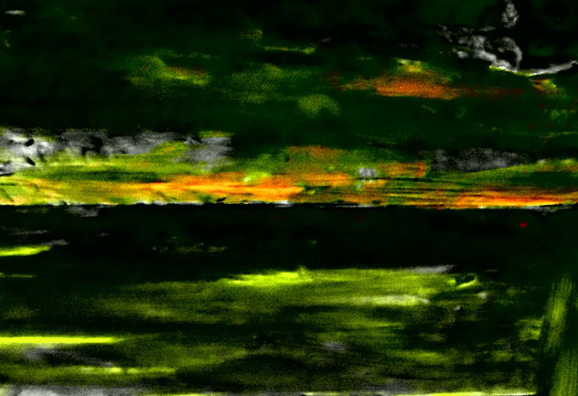 COMPOSICIONVLAS.OTOÑO 4/4