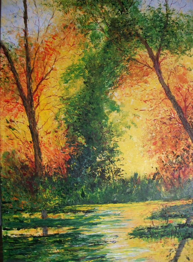 PARQUE DE COLORES....