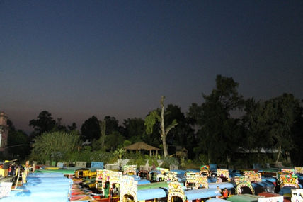 Retorno a Xochimilco 4