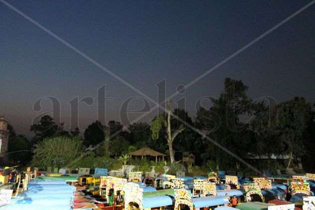 Retorno a Xochimilco 4
