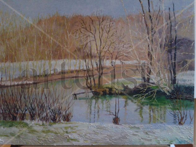 Reflejos