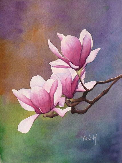 Magnolias