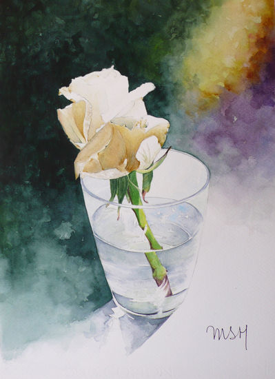 Rosa blanca en un vaso Watercolour Paper Floral Painting