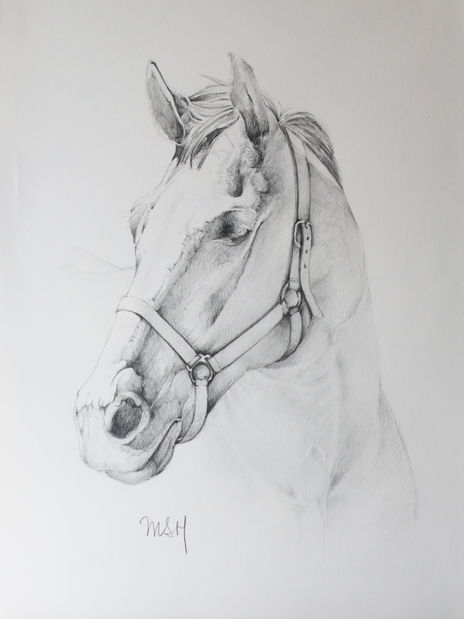 Cabeza de Caballo