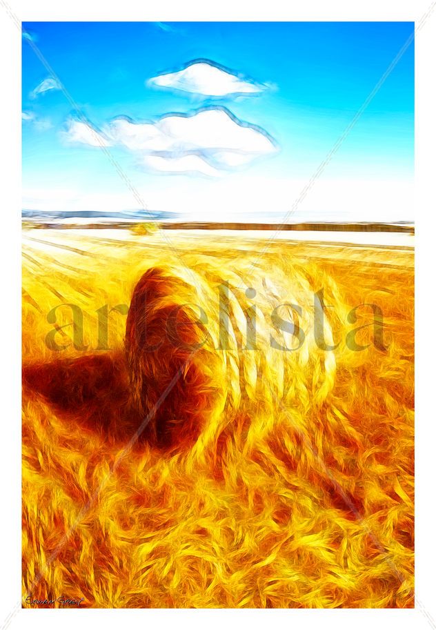 El trigo y el cielo / The wheat and the sky